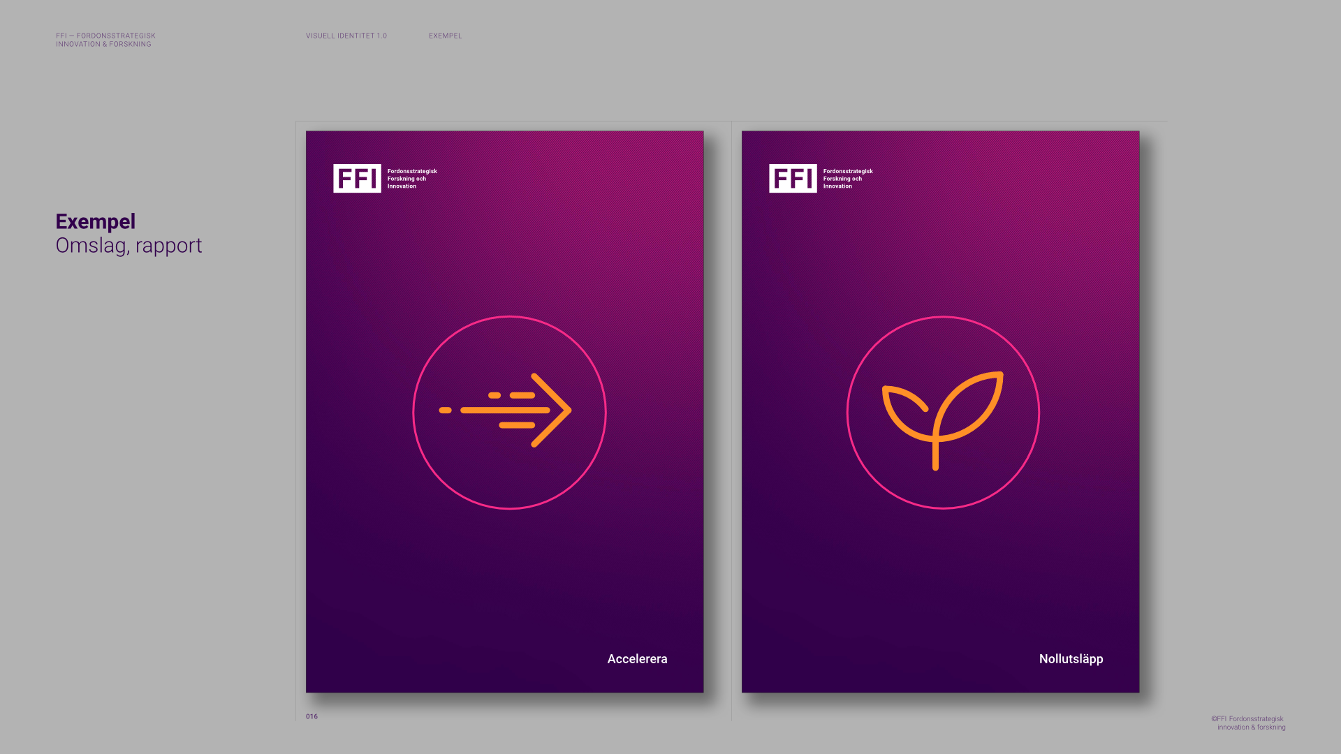 FFI Visual Identity Guidelines